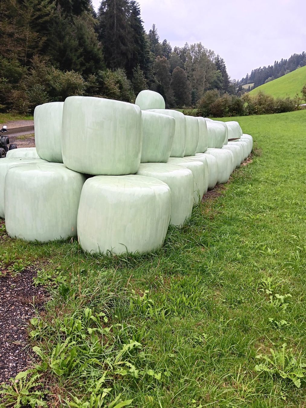Futter: Grassiloballen Ernte 2025 – Neu und originalverpackt aus Heimisbach von hakulihe