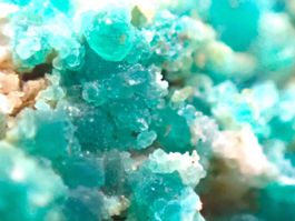 Turquoise, Ottré, Vielsalm, Luxembourg, Wallonia, Belgium