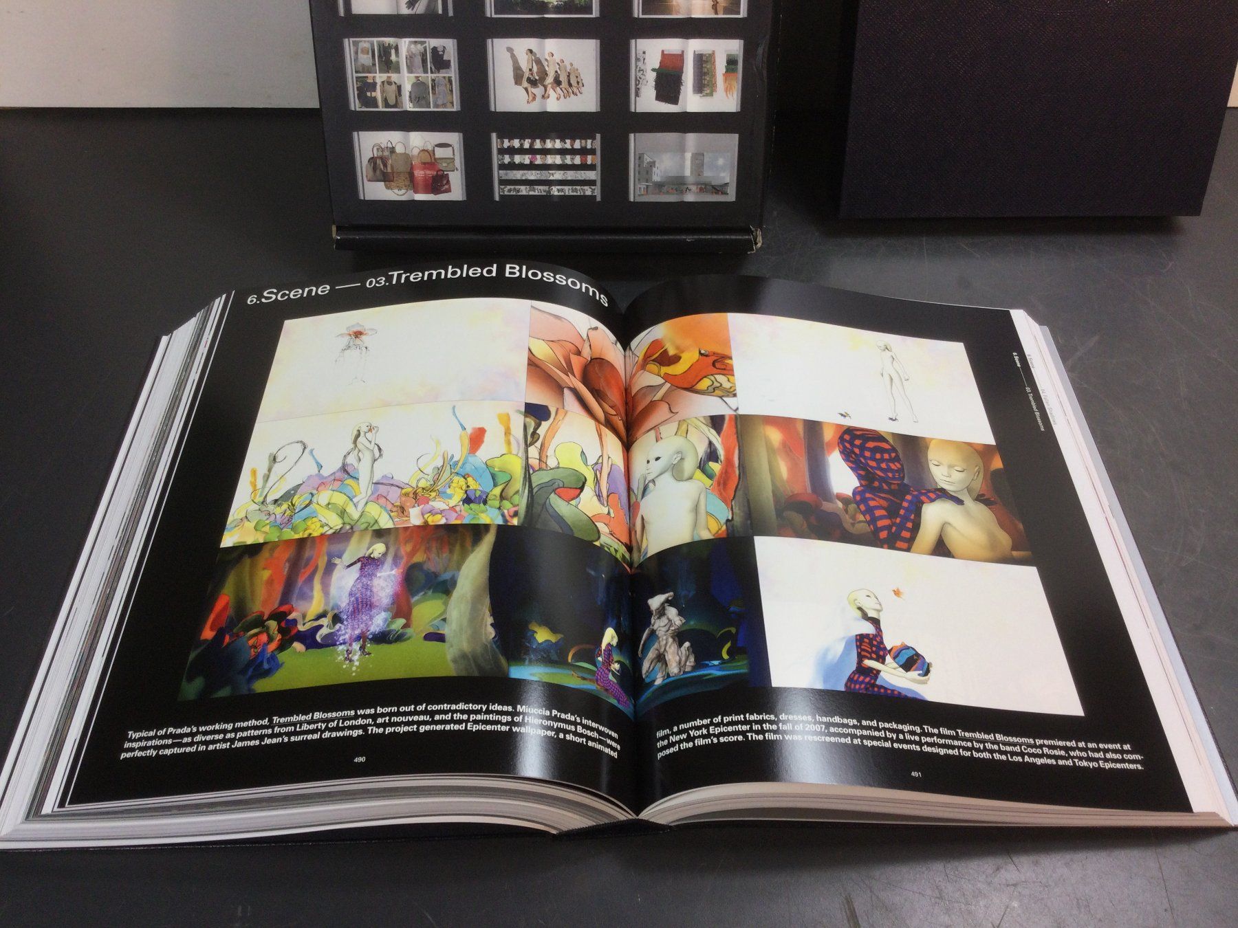 Riviste & Magazine: Buch Prada by Patrizio Bertelli and Miuccia Prada – Usato da Wangen SZ venduto da kuriosum12 1