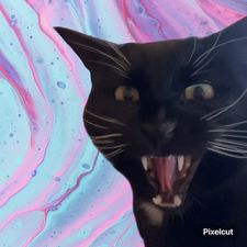 Profile image of mae_zsc2