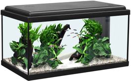 Aquatlantis Advance LED 60 schwarz