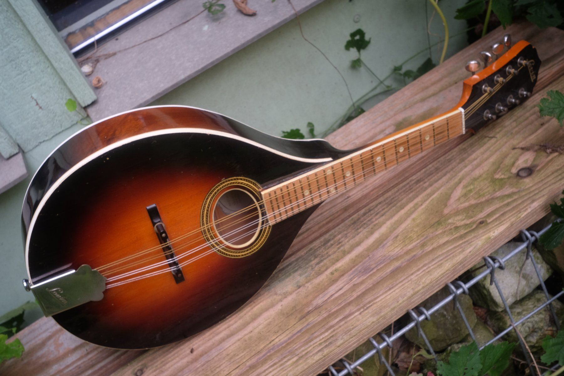 Strumenti musicali: Levin Mandoline 1945 – Usato da Winterthur venduto da hermanadam