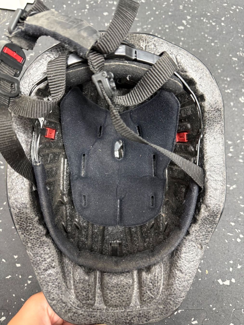 Uvex Caschi: Kinderreithelm Uvex (49-54cm) – Usato da Urswil venduto da afe_5jk7 3