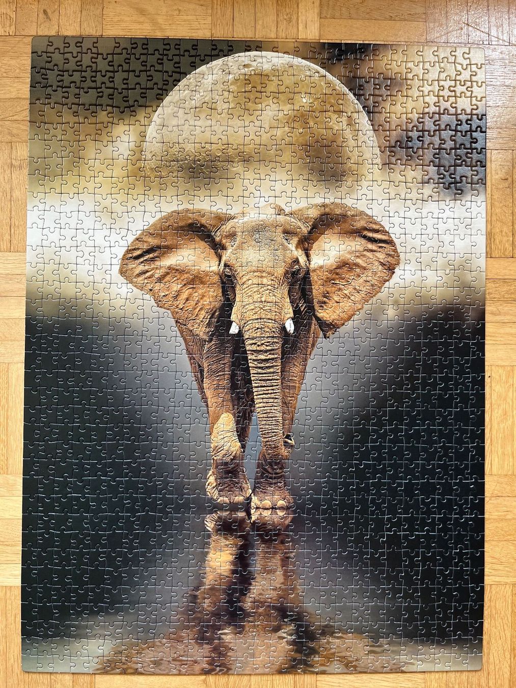 Clementoni Puzzles: Clementoni Puzzle,"The Elephant", Fluorescent – Gebraucht aus Zürich von Gurkis 2