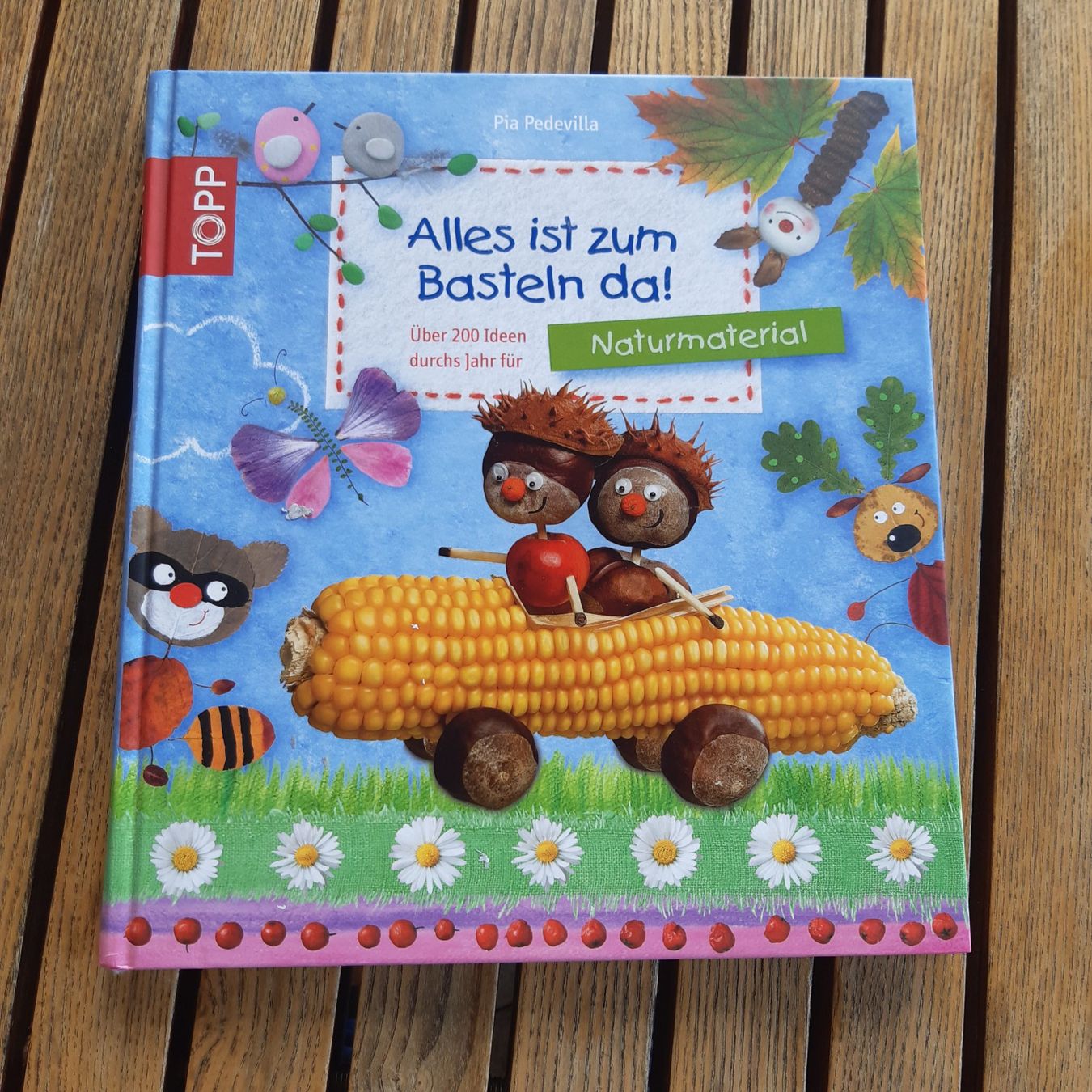 Livres: Bastelbücher – D'occasion à Hörhausen par Mary8368 3