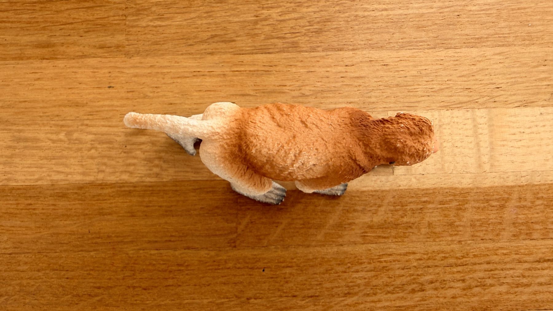 Schleich Giocattoli: SCHLEICH - Affe Nasenaffe 14846 – Usato da Winterthur venduto da Secondhand-Family 5