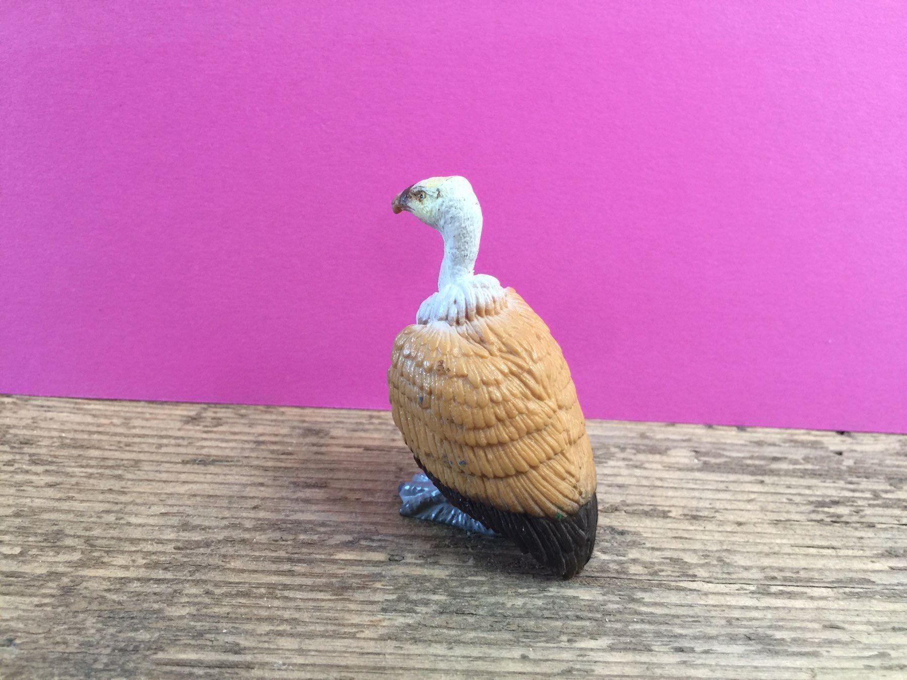 Schleich Statuette: Schleich 14134 Gänsegeier Geier Vogel – Usato da Ennetbaden venduto da mapa05 3