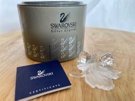 Swarovski Figur Baby Schnecken Weinblatt 268196 mit OVP/Zert