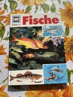 Was ist Was, Band 41: Fische - Tolles Wissen für Kinder!