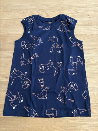 Dinosaur T-Shirt, Age 7-8 Years, New