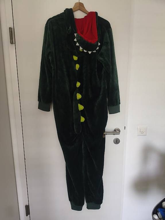Costumi: Costume carnevale drago – Usato da Bellinzona venduto da air_zt9n 1