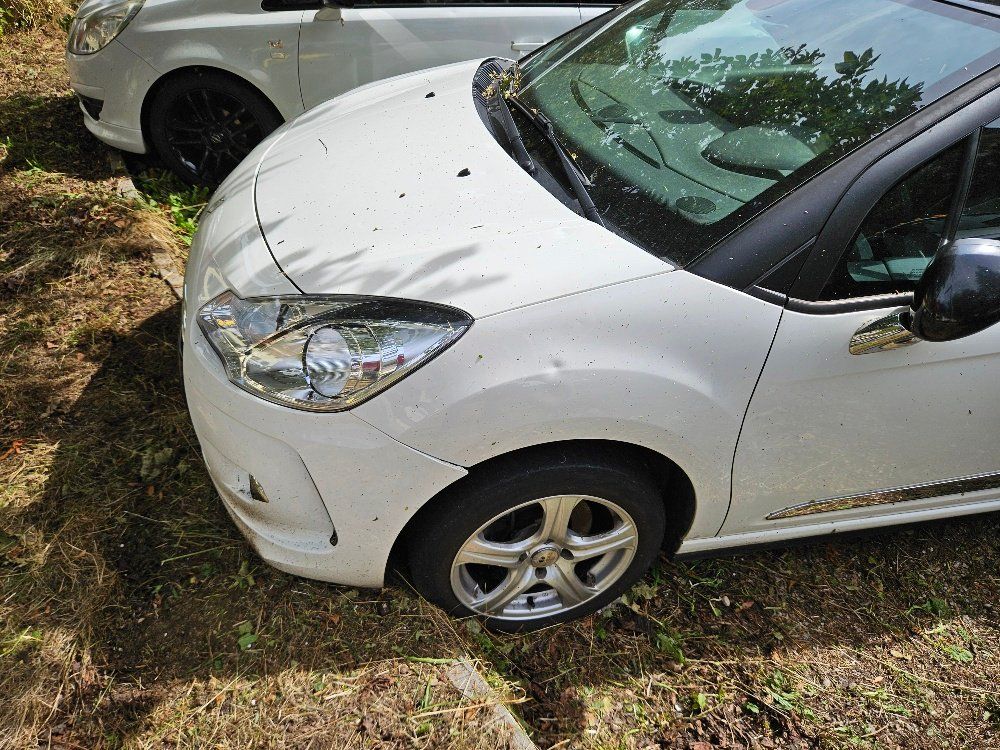 Citroën Automobili: Citroen DS 3 1.6 THP – Difettoso da Balsthal venduto da XTR34 2
