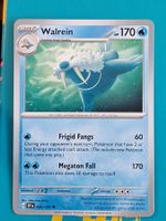 Walrein - Pokemon Surging Sparks
