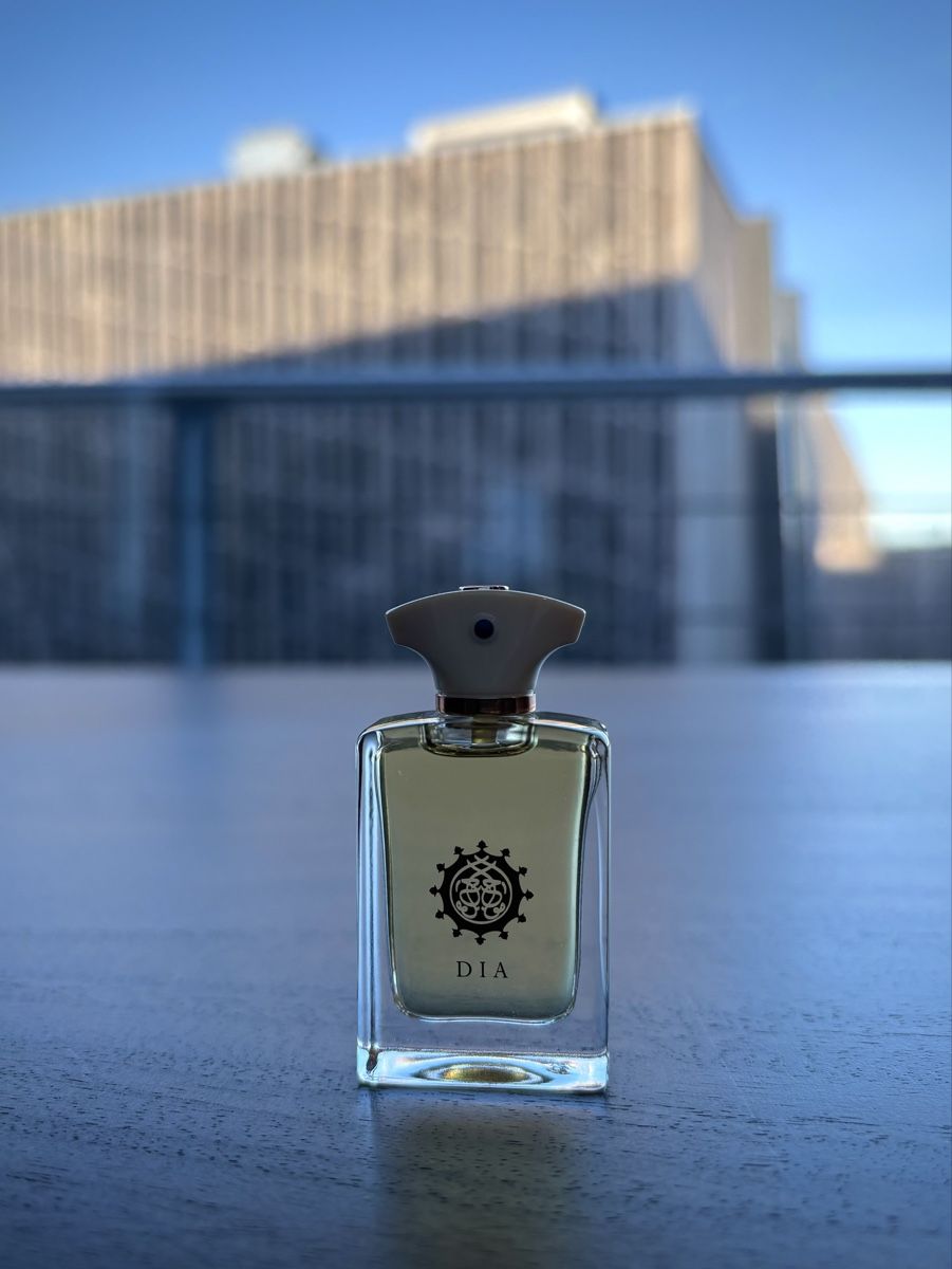 Amouage Profumi & Eau de Toilette: Amouage Dia Man – Usato da Bern venduto da joelg90