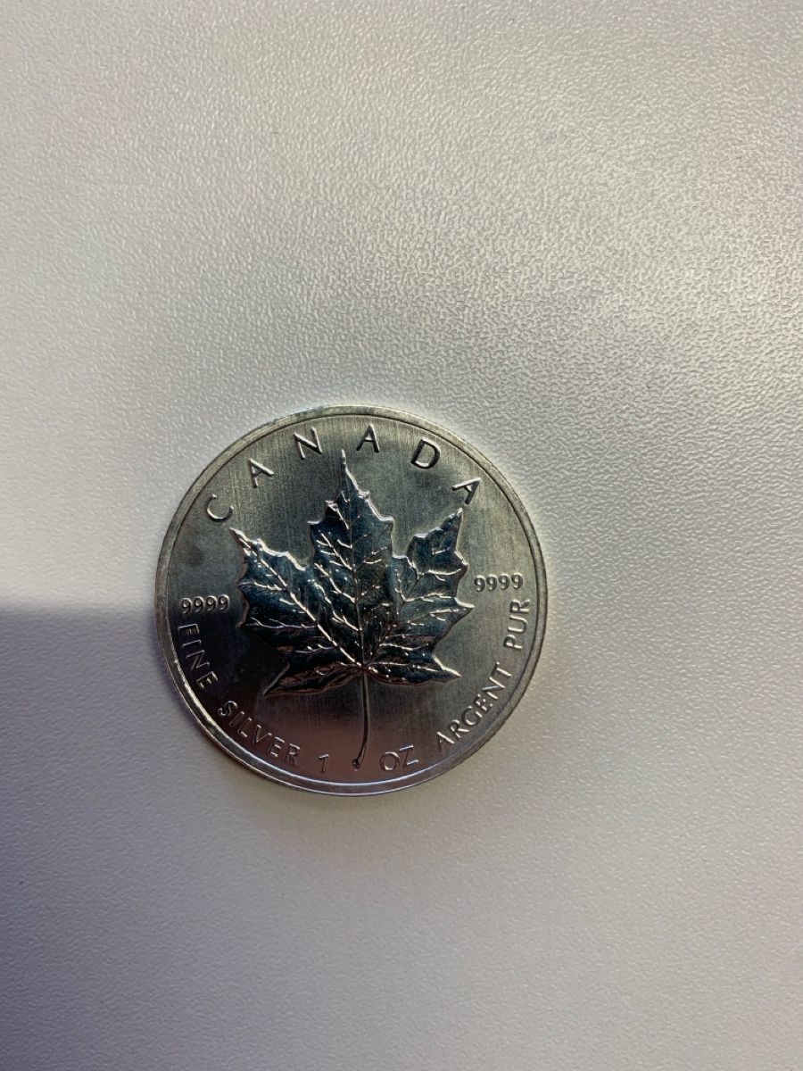 Tutti le monete: Maple Leaf 2013 Silber – Usato da Wiggen venduto da Antoniotto
