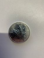 Maple Leaf 2013 Silber