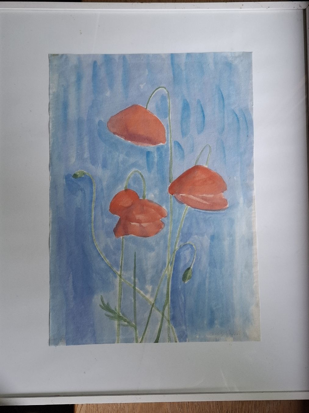 Foto & Immagini: Mohnblumen Aquarell  – Usato da Adliswil venduto da rug_l29p