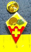ARMEE SCHWEIZ MILITÄR PIN GLASIERT