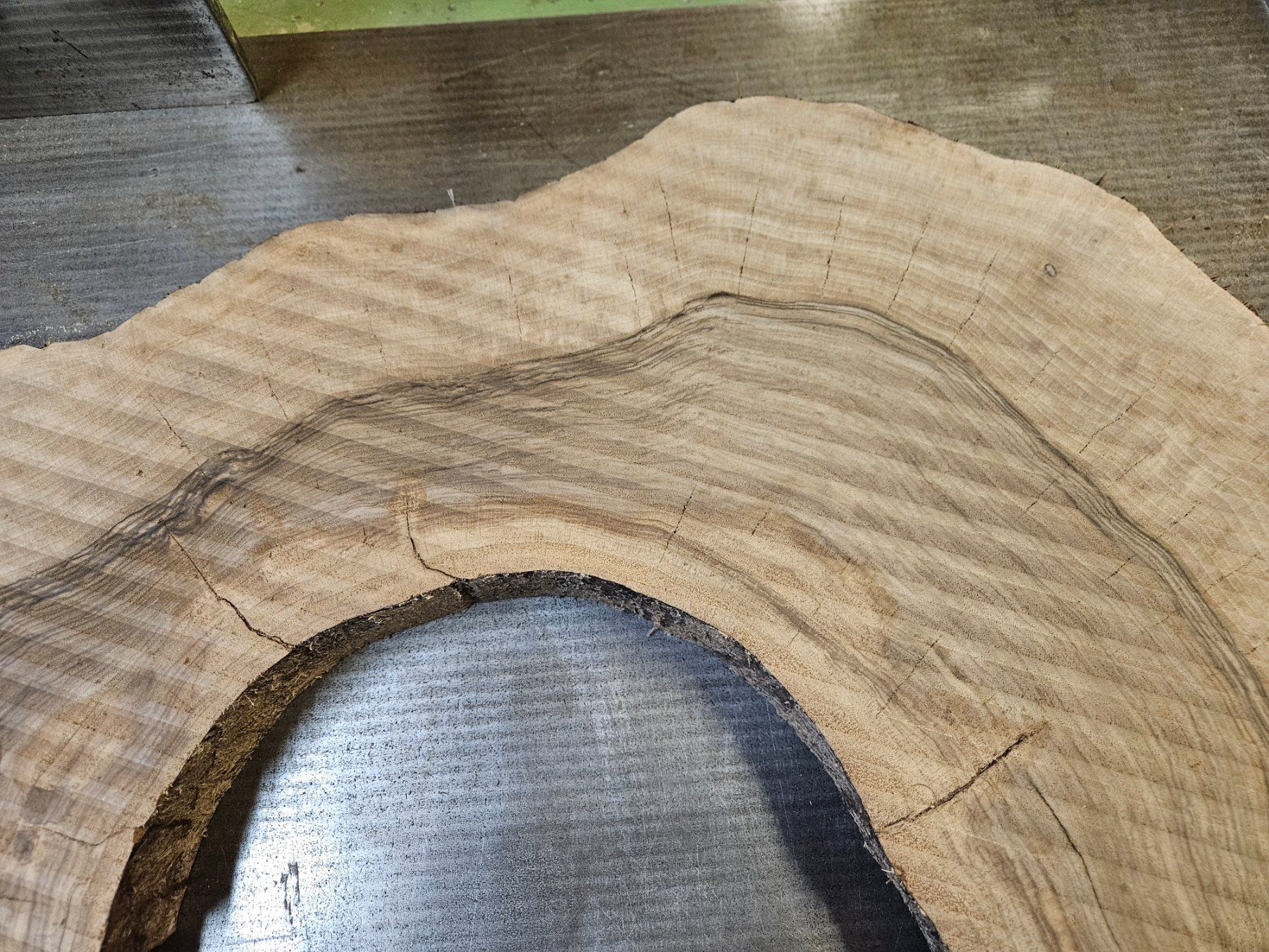 Articoli in legno: Nussbaum Holz Baumscheibe – Nuovo (secondo la descrizione) da Schangnau venduto da egli6.2 1