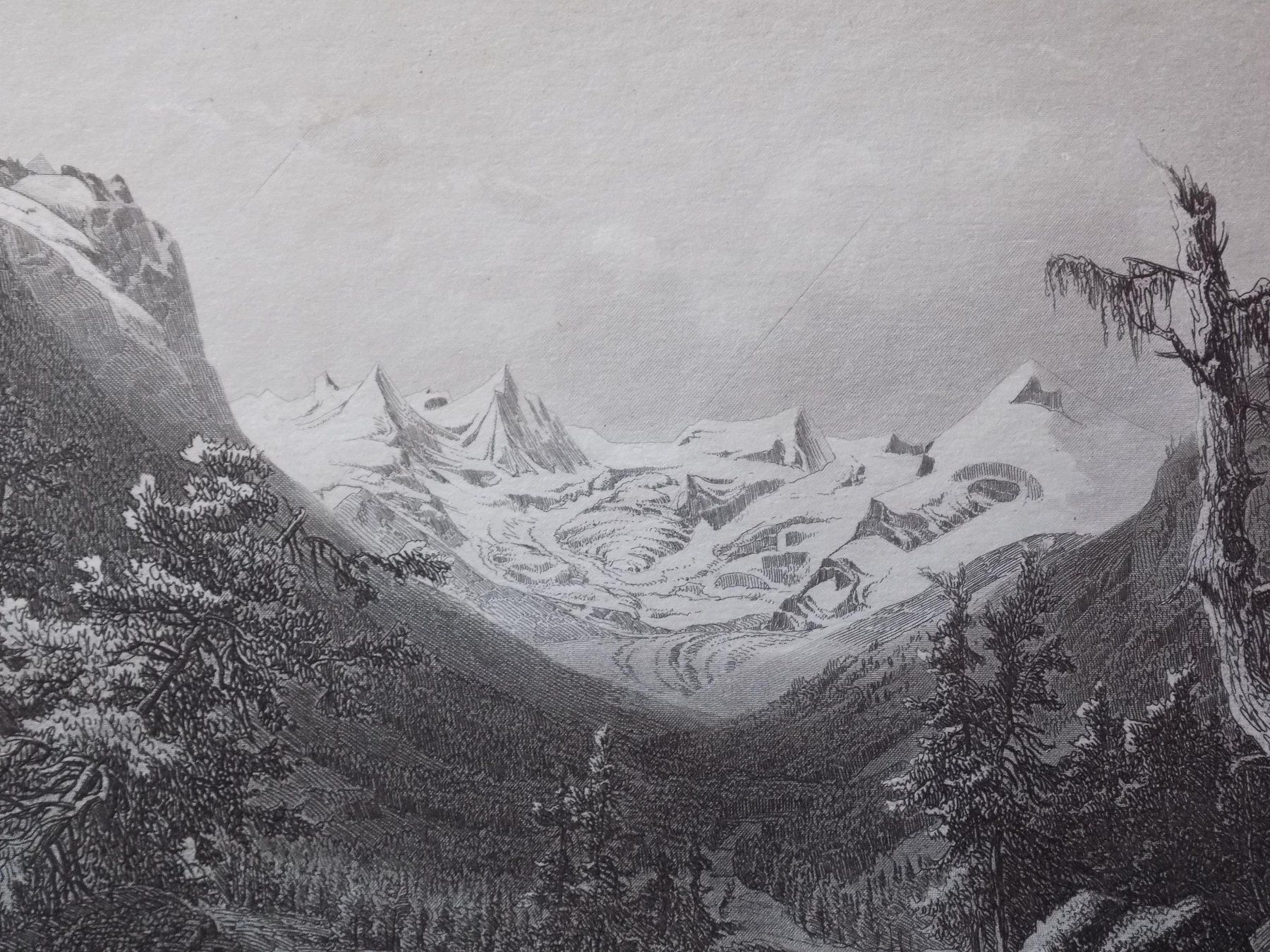 Incisioni: Der Roseg Gletscher – Usato da Risch venduto da Rischli15 7