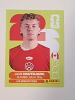 CAN 14 Panini WM26