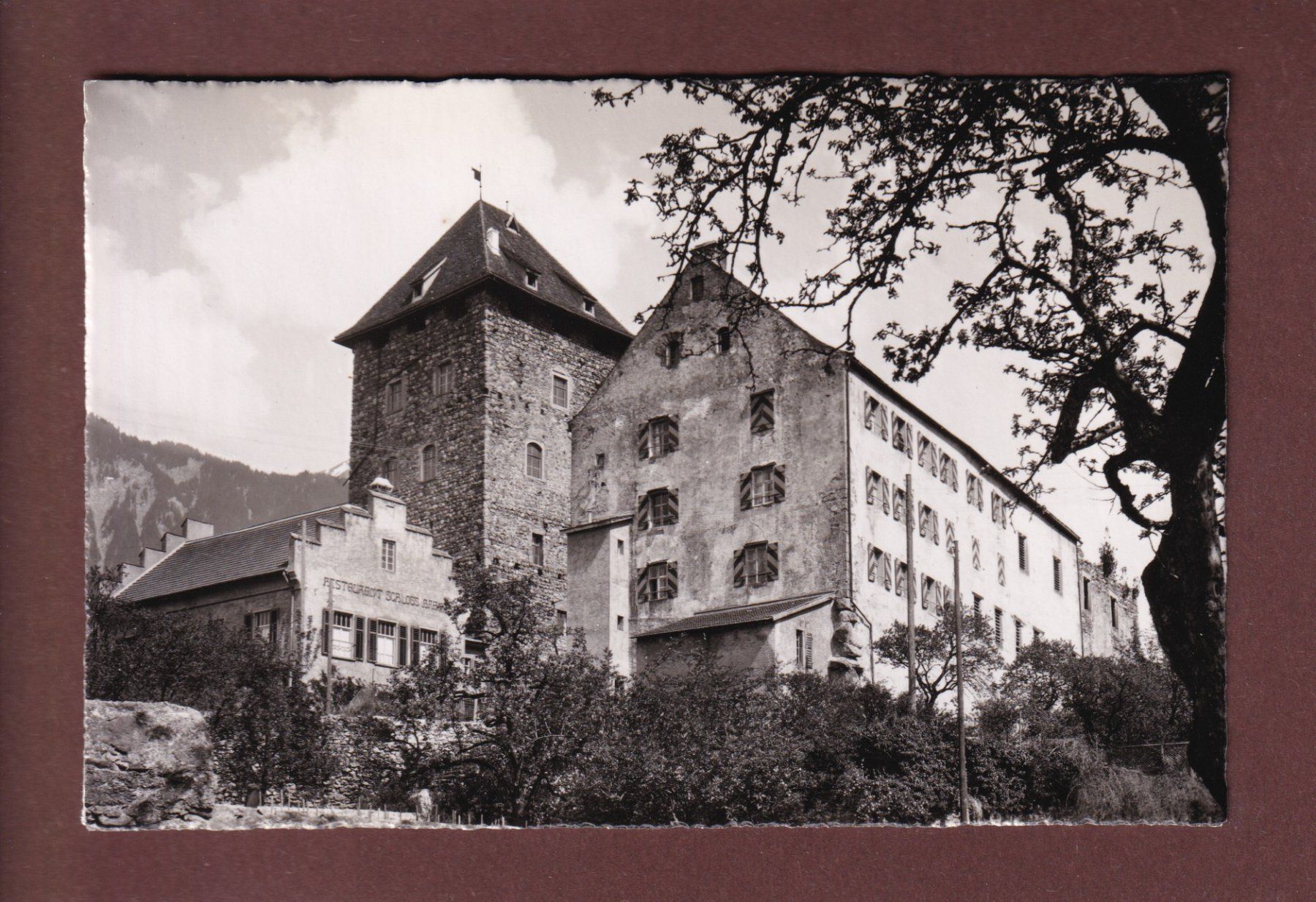 Cartes postales: MAIENFELD - Schloss Brandis – D'occasion à Pully par nicecards-shop