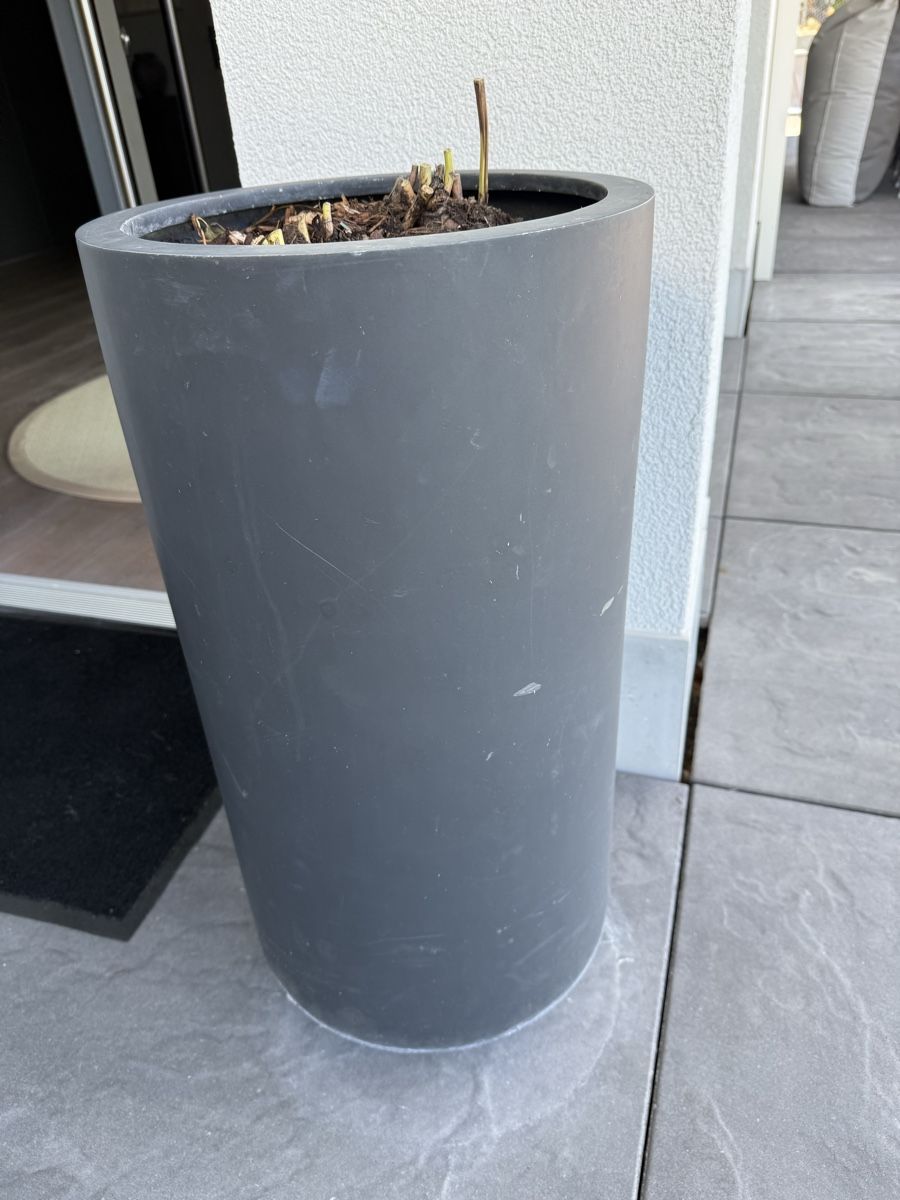 Pots de fleurs: Gartentopf – D'occasion à Birmensdorf ZH par Fiona88fiona 2