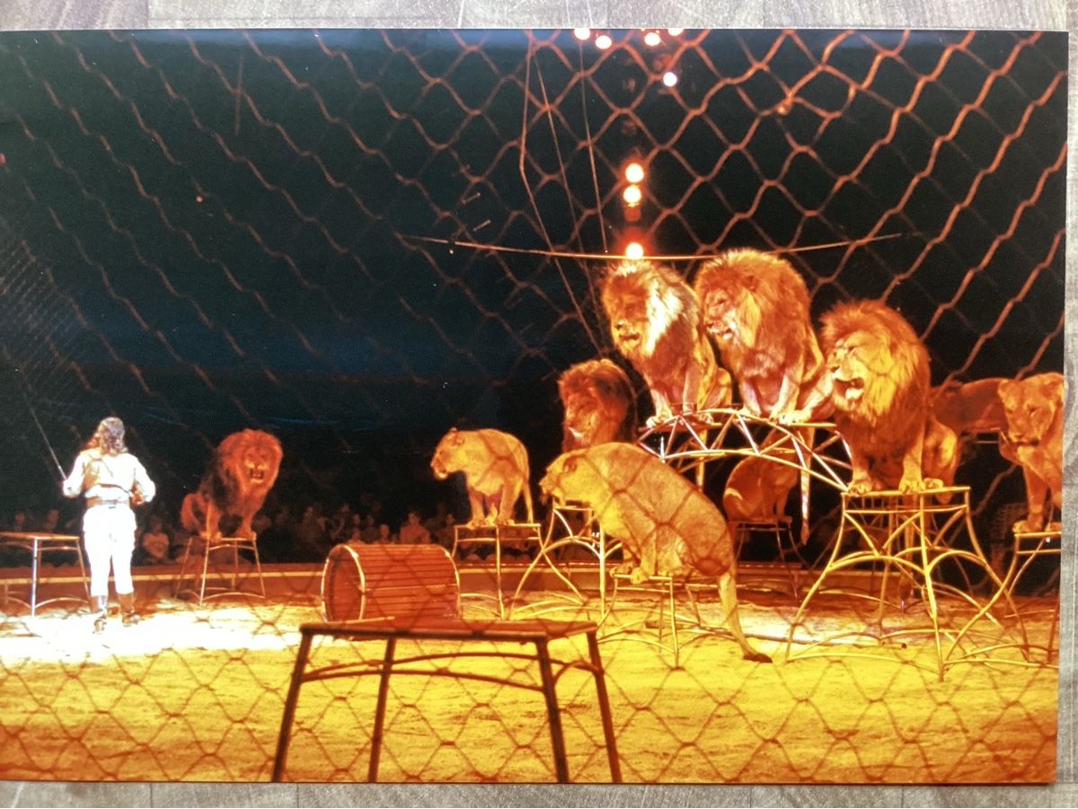 Poster & Bilder: Circus Knie Foto 1990 – Gebraucht aus Reichenbach i. K. von astra2010