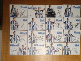 Hertha Berlin - 37x handsigniert - Saison 16/17 - Stocker...