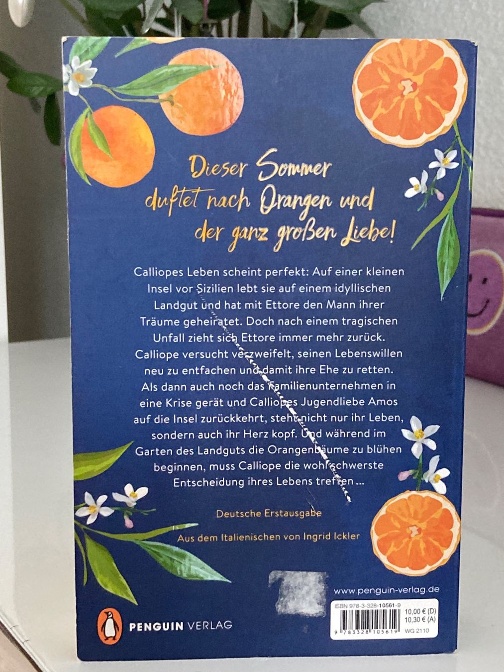Libri: Der Orangengarten - Valentina Cebeni – Usato da Frauenfeld venduto da SCHATZtruhe369 1