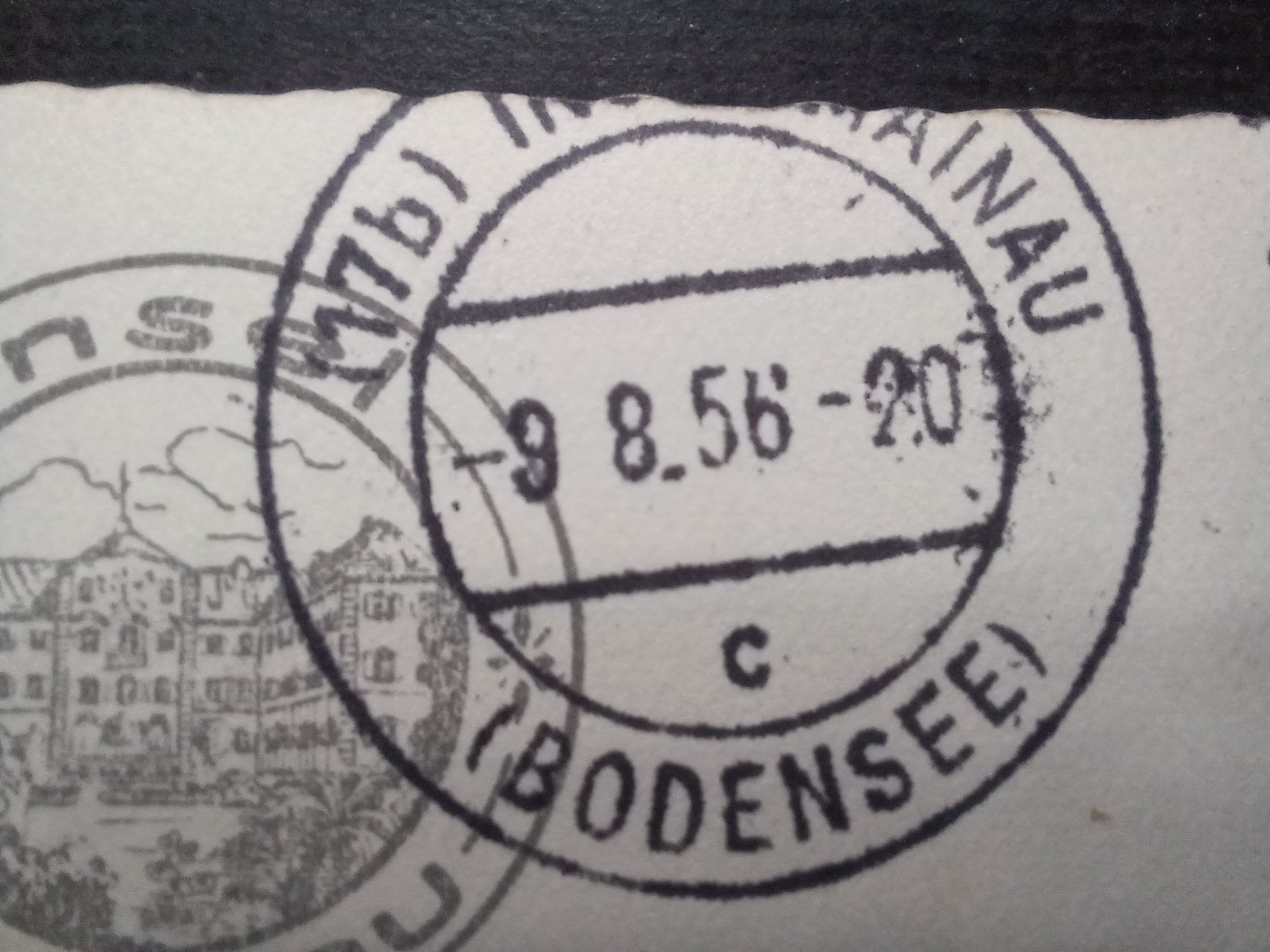Cartoline postali: Insel Mainau, Palmenhain,1956, Bodensee, – Usato da Aarau Rohr venduto da mgvw 3