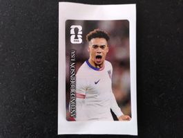 Coca Cola Panini Sticker: ANTONEE ROBINSON