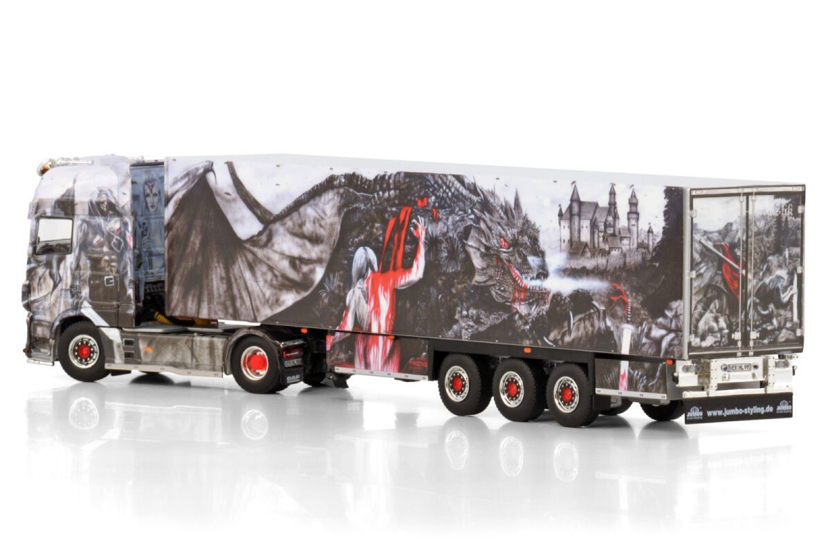 WSI Models Kit di modellismo & Modellini statici: 1:50 WSI DAF XF SSC My2017 4x2 "Heide Logistik" – Nuovo e nell'imballaggio originale da Affoltern am Albis venduto da Modellshop-8910 1
