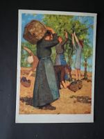 Ansichtskarte Pro Juventute Weinlese  1939  (V769)
