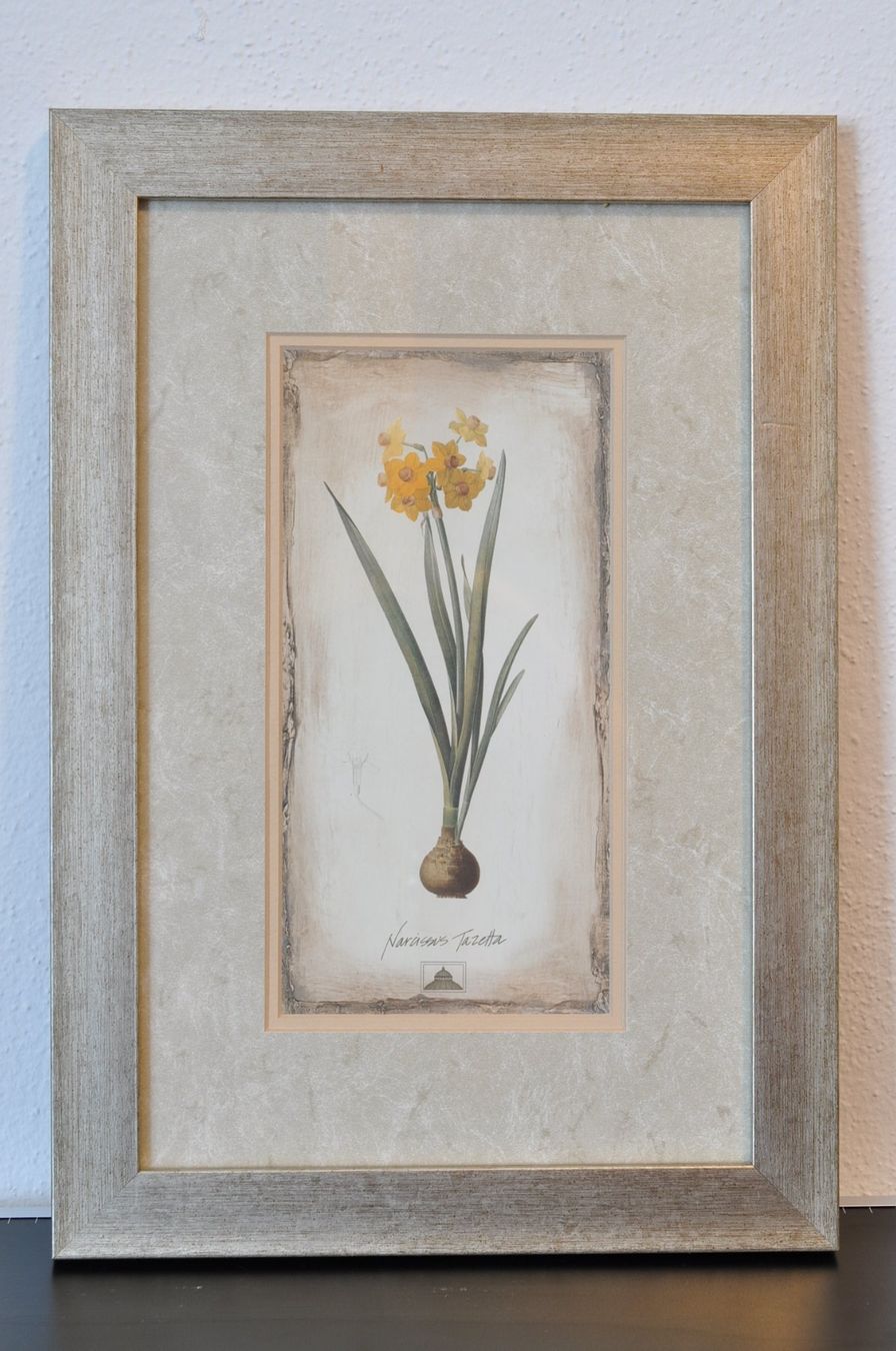 Gemälde: Quadri botanici con fiori, set di 3, originali – Gebraucht aus Vezia von lel_xfz5 3