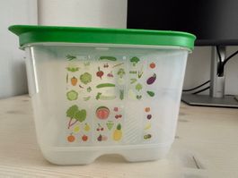Original Tupperware Klimaoase 4-teiliges Set
