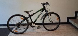 Kindervelo SCOTT 24 Zoll