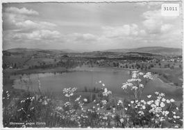 Hüttensee gegen Zürich