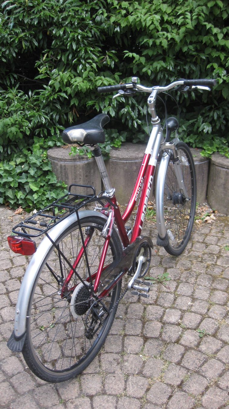 Leopard Vélos: Velo Leopard Road Cat – D'occasion à Nussbaumen AG par Daddy5 6