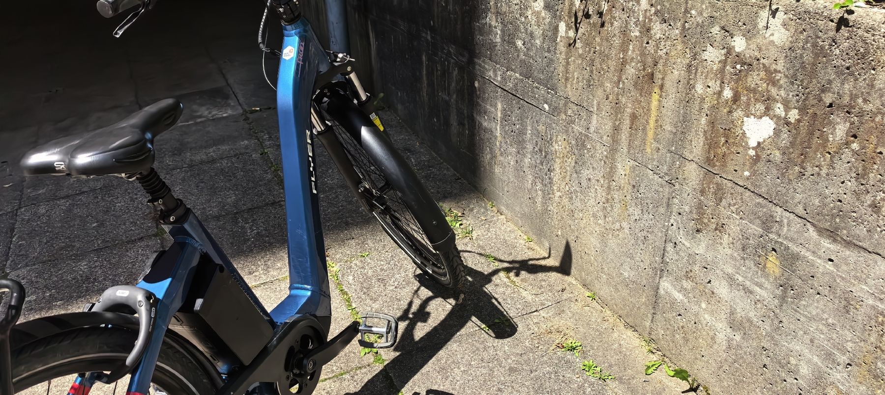 Flyer Biciclette: FLYER Goutur 5,ebike,velo – Usato da Bern venduto da habin123 5