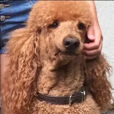 Profile image of peprace
