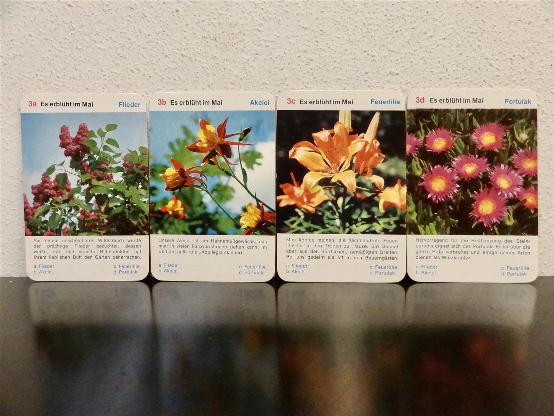 Giochi: altes Quartett BLUMEN-QUARTETT BLUMEN – Usato da Kerzers venduto da wisaundso 5
