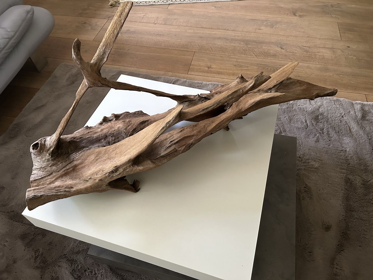 Aquarium: Aquarium / Terrarium Wurzel – Gebraucht aus Kölliken von smile062 3