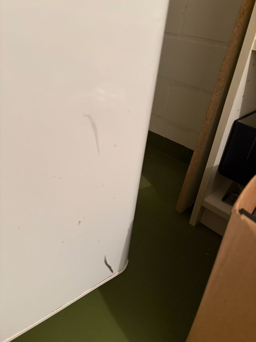 Congelatori: Gefrierschrank AEG 5 Fächer – Usato da Thun venduto da Tico-Aleman 1