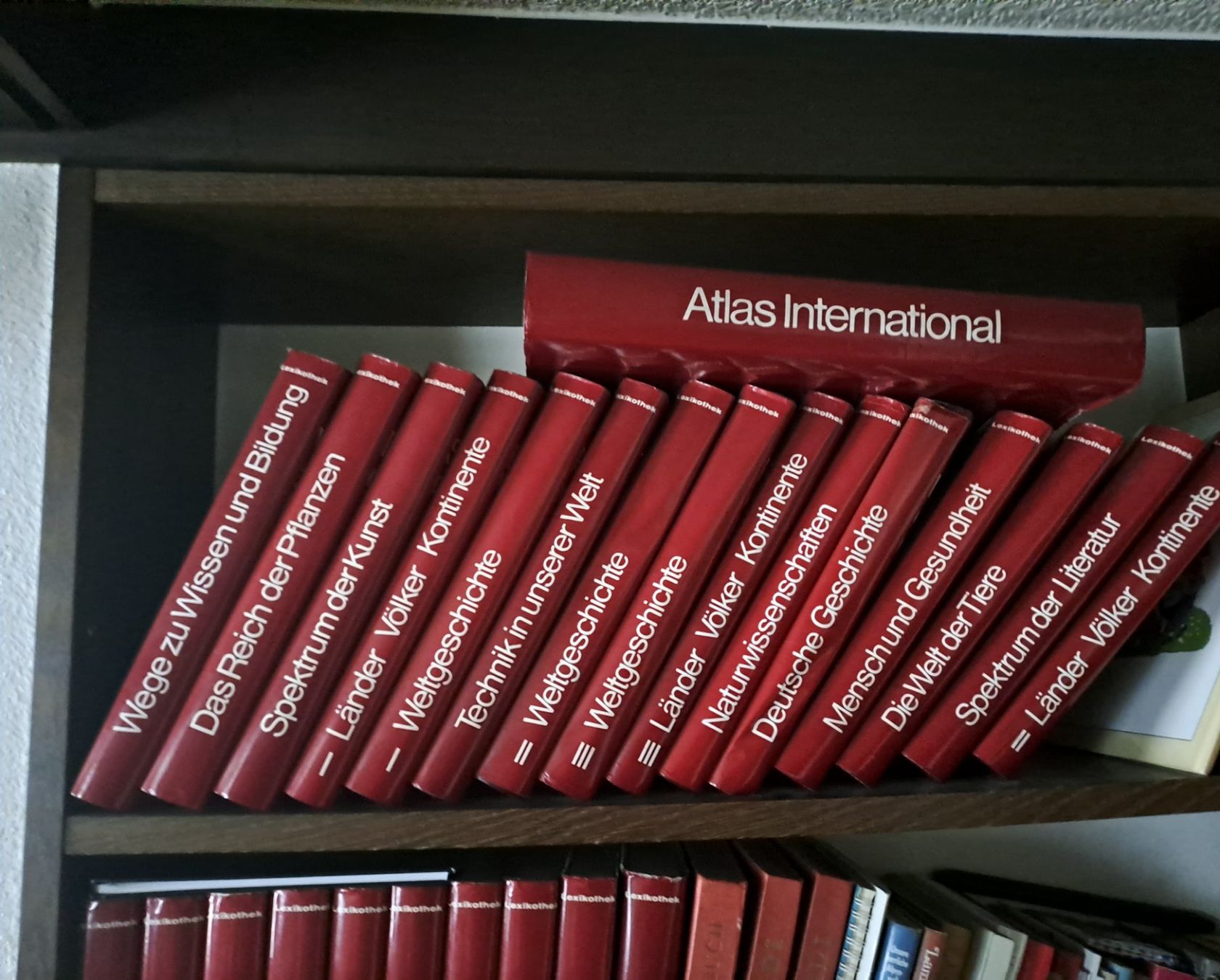 Libri: Bertelsmann Lexikothek – Usato da Gossau SG venduto da flufi06 1