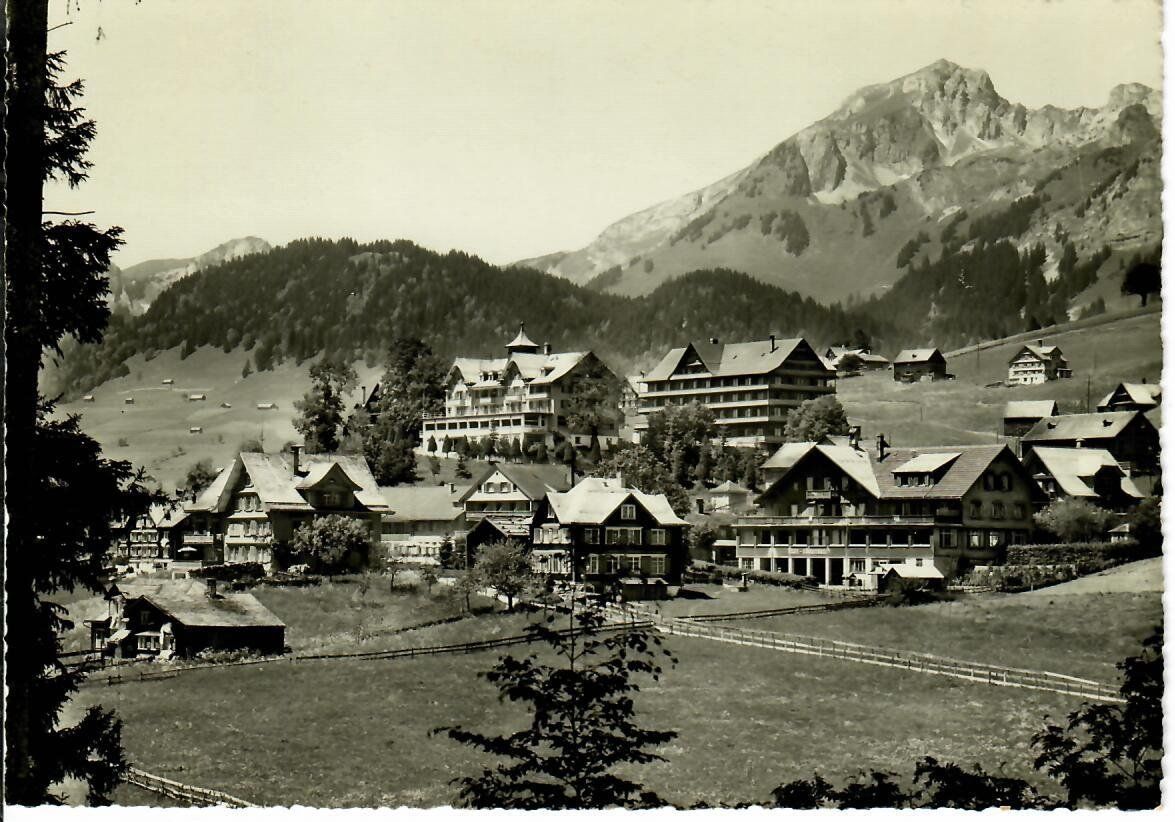 Cartes postales: Wildhaus – D'occasion à Hochdorf par Ziegel-16