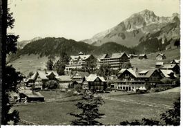 Wildhaus