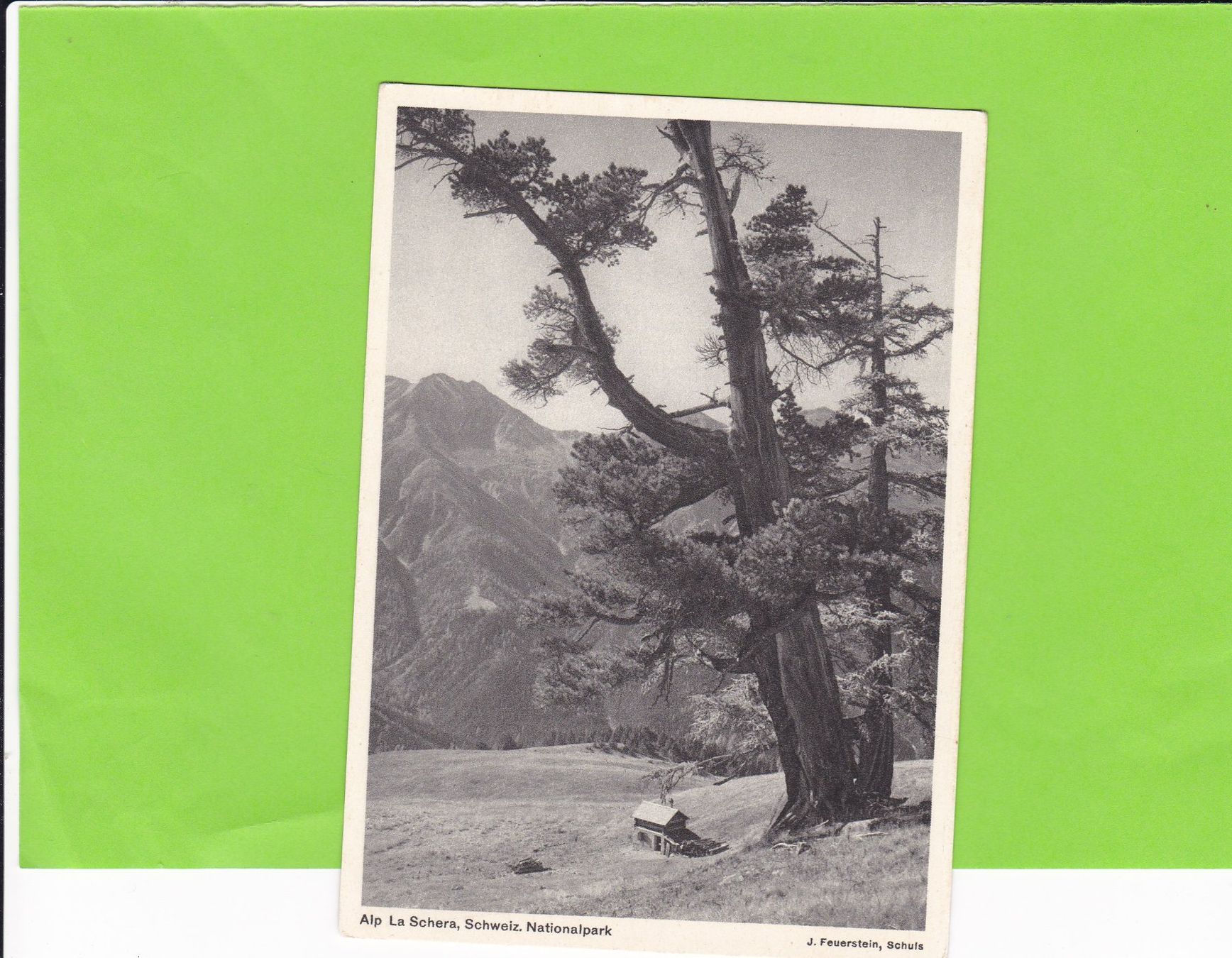 Cartoline postali: Alp La Schera – Usato da St. Peterzell venduto da neckertal