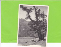 Alp La Schera