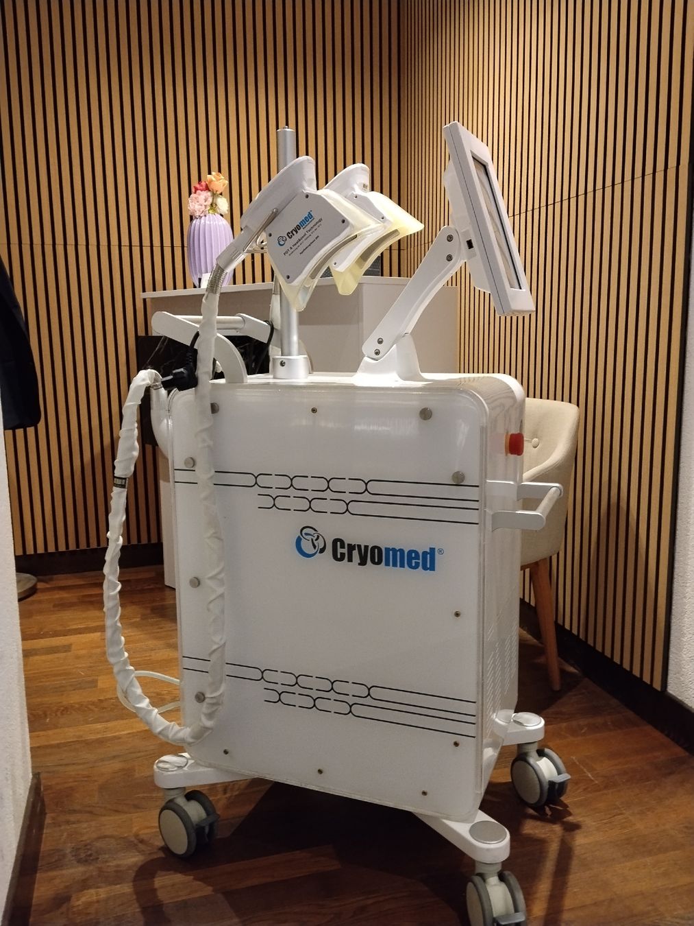 Attrezzature mediche: Cryolipolisis Gerät - Cryomed – Usato da Bern venduto da Ulises1983